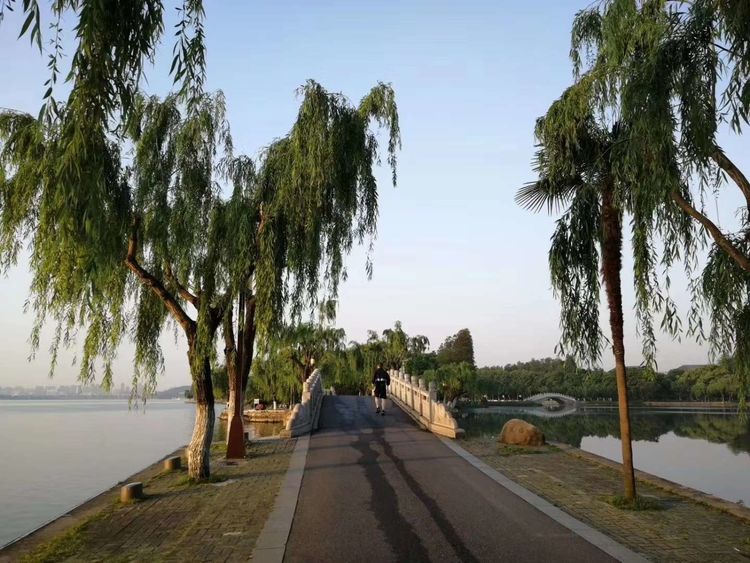 『武汉』武汉清零后,阅读东湖垂钓者的心情