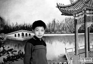 #撒贝宁#与李白生下“龙凤胎”，没想到，观众被撒贝宁“骗”了13年