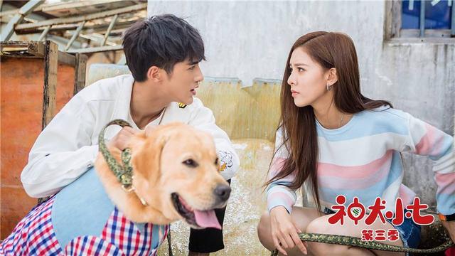 张一山|深扒张一山的前女友宋妍霏，她可没你想的那么简单