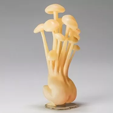 职业教育|“4条腿的蛤蟆到处是，8条腿的你见过没？”哈哈哈真开眼了...