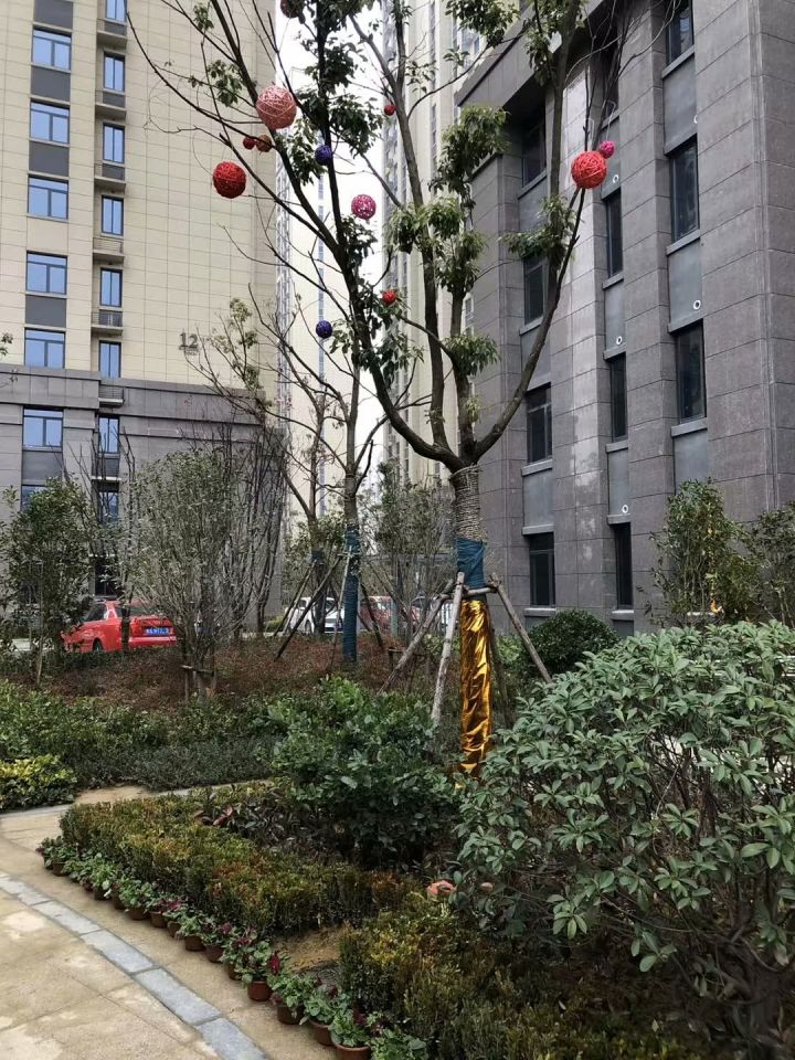 迎新年感恩业主无限信任，两新房腊月初八同时开工