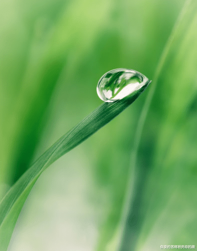 属兔|未来三个月,4属相贵人运很旺,财源滚滚,喜事连连,生活富裕