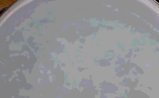 饺子|从来没吃过这么棒的饺子，味道真是独一无二，端上桌就被抢光了