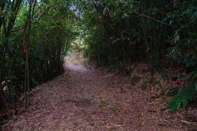 ：为什么越来越多的年轻人喜欢溪钓，钓几条小鱼真的那么有意思？