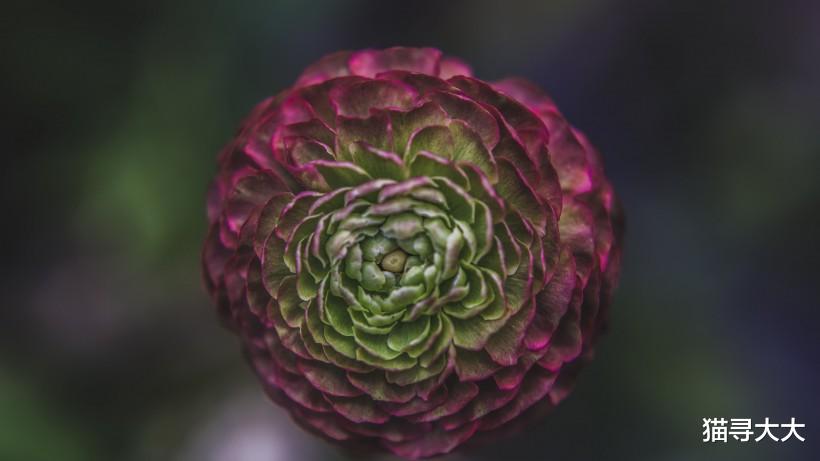 『属兔』7月份底，相思未尽，情缘未断，不肯放手，唤醒前情的4大生肖