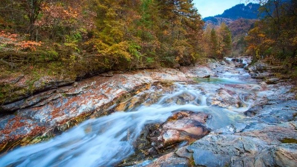 黄柏塬|太白黄柏塬赏秋，摄影，一步一景，感受慢城之美