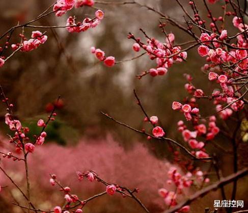 「」谁出生在此5天，不求父母，不靠他人，有实力自立门户赚钱发家