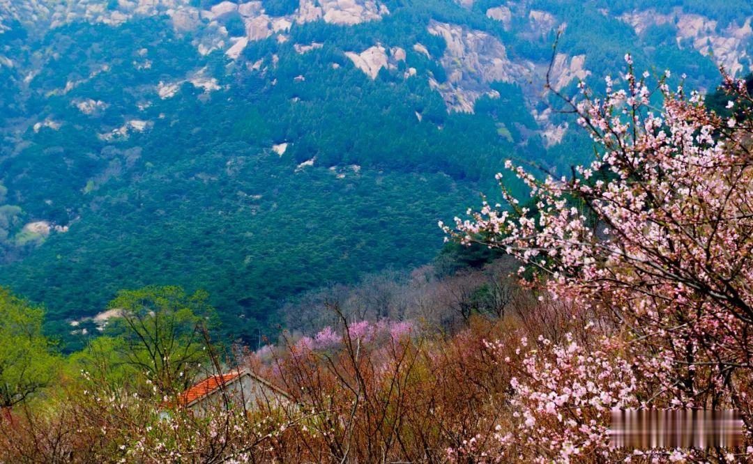 ▲周末，彩石溪走起！