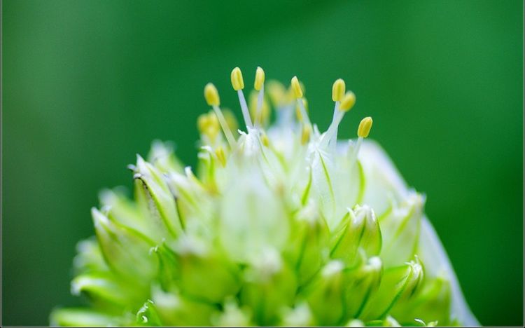 生肖|九月份,情缘降临,真爱来到身边,从此幸福甜蜜的四大生肖