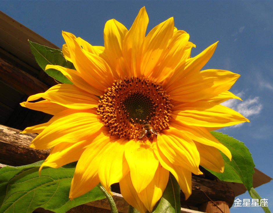 『大富大贵』6月20号,财神爷驾到,接喜接福的3生肖,大富大贵发大财