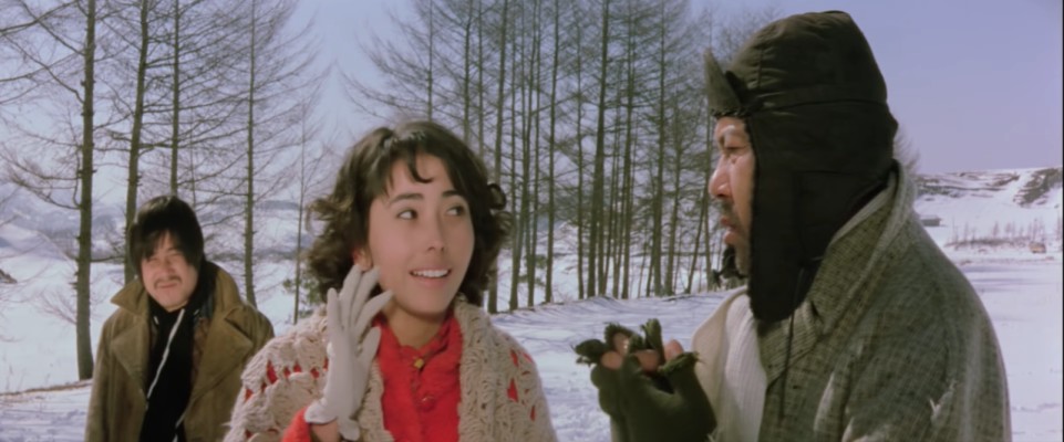 豪门明星|66岁文淑已满头银发 曾一年拍近10部戏 大23岁丈夫婚后1年去世