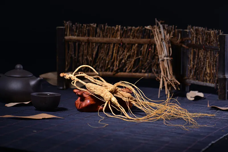 「人参」每天学一味中药，土人参