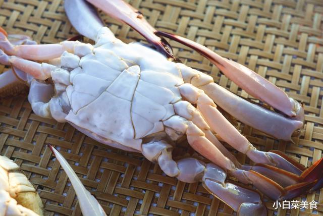 梭子蟹|舟山梭子蟹大量上市，牢记6个小窍门，挑出又肥又好吃的梭子蟹