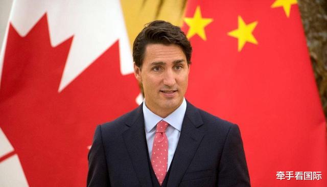 加拿大▲损失已达50亿！加拿大彻底坐不住了，喊话中方放下成见