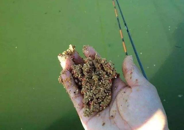 「玉米」夏天鱼分散，两招快速聚鱼！用上这两招，记得准备大鱼护