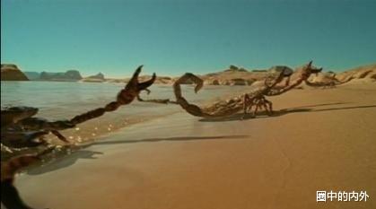 蝎子|看见了这几种蝎子，赶紧跑，剧毒无比，瞬间致命