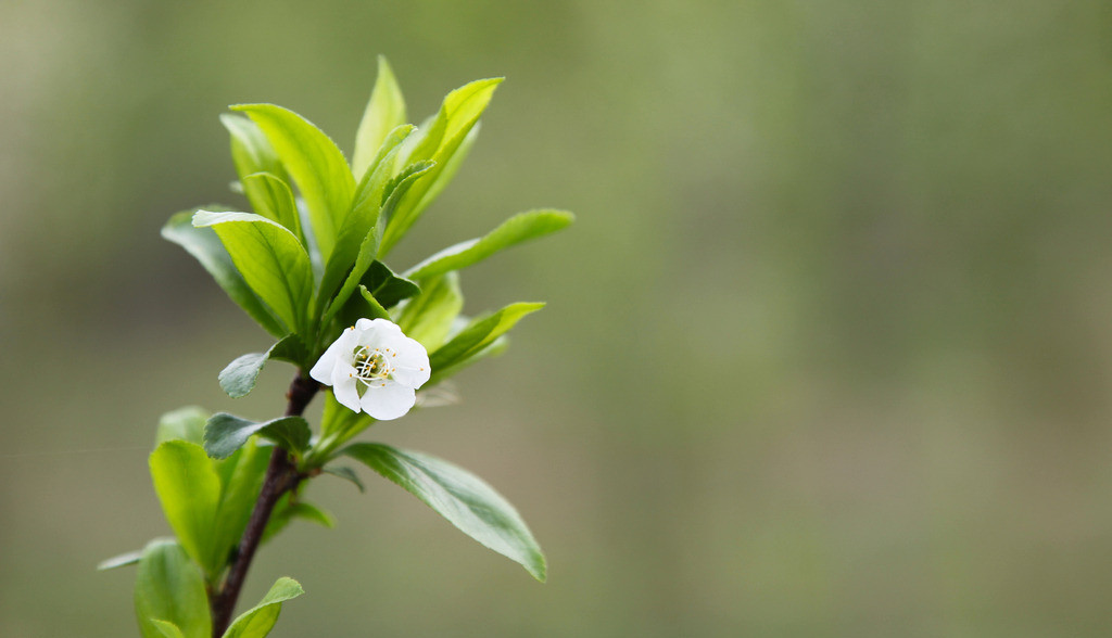十二星座|分手后，十二星座男各会把前任当成什么人？金牛很深情