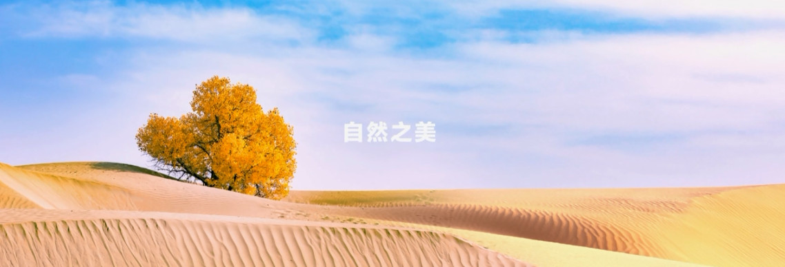 国行|华为Mate 40 系列国行发布，不屈的精神以及新亮点