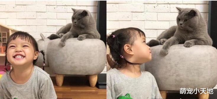 1岁萌妹饭后偷闻猫屁屁，之后突然握拳头跺脚跳舞兴奋大笑