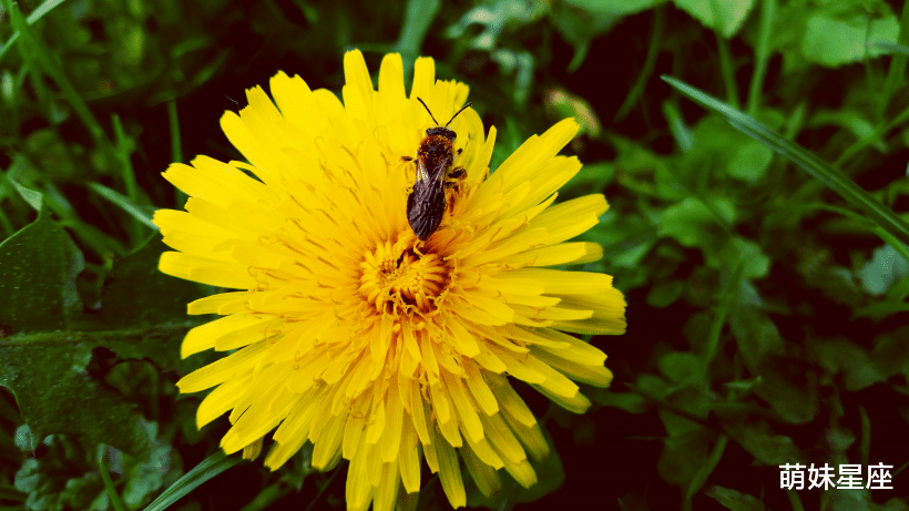 生肖|11月起头顶祥云，脚踏财运，事业运红火，生活无限风光的4大生肖