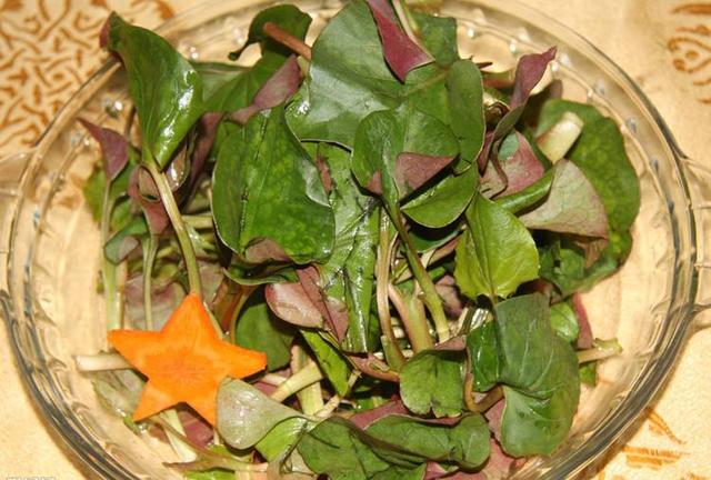 美国人|美国人：为什么中国人与众不同？全球最难吃的5种食物中国占3种