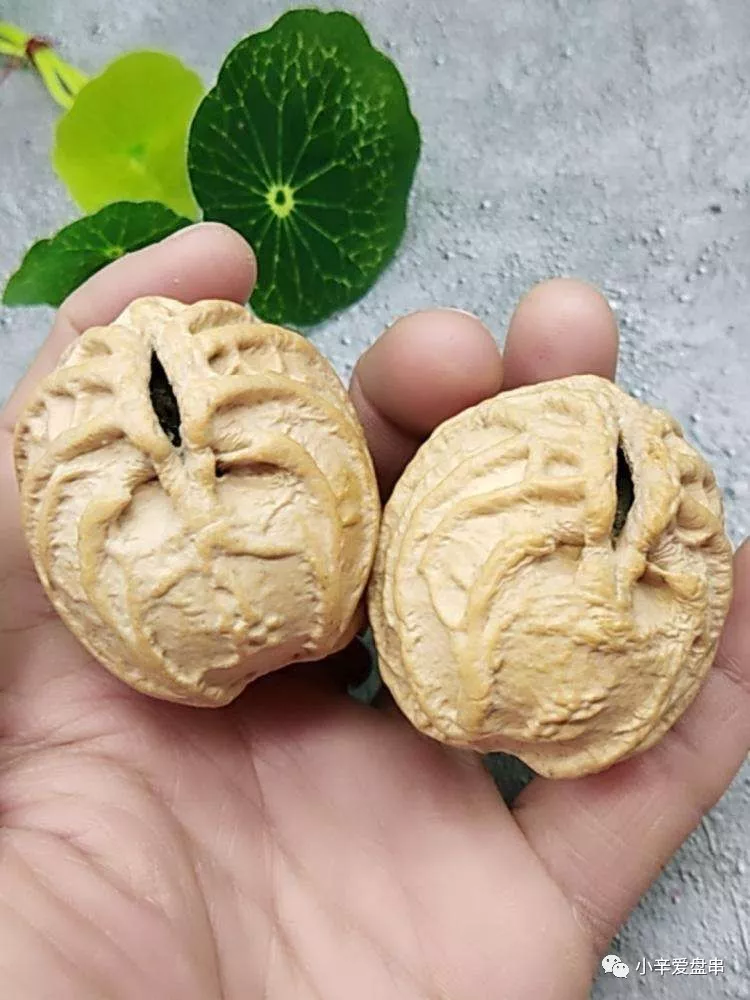 文玩@\我信你个鬼，你这对核桃丑的很！\