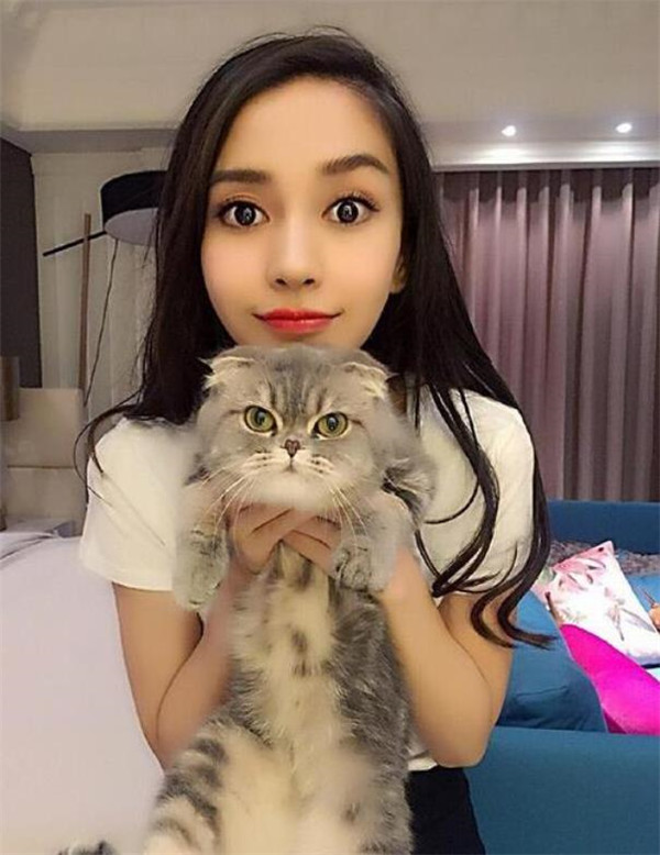 Angelababy|Angelababy的4亿豪宅，客厅大到能跑步，巨型猫笼尺寸大得惊人
