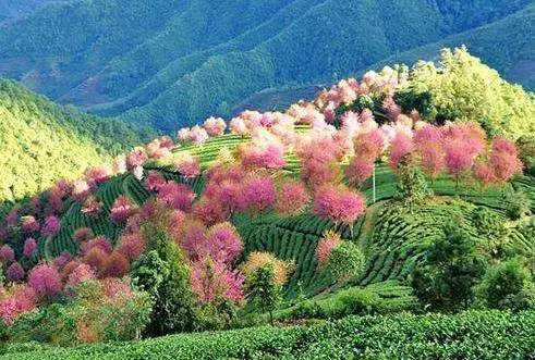 |中国最美100个景点,你去过几个?