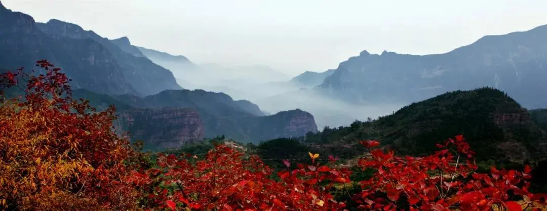 |醉赏南太行秋沟红韵，尽享童话般的世界
