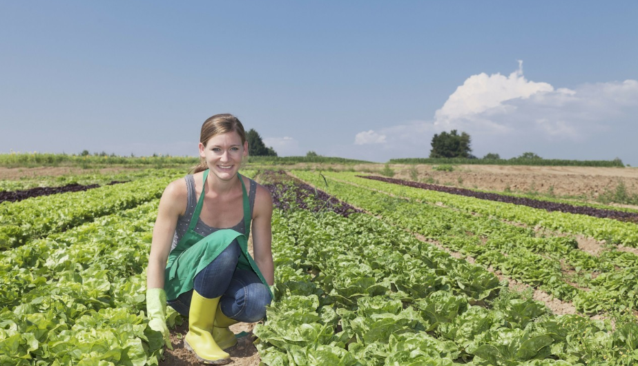德国|不只制造业，德国机械化农业也强得没话说，如今正被中国加速赶超