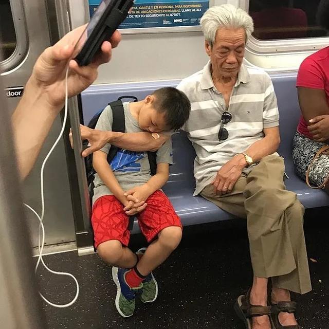 InsDaily|纽约地铁禁止带狗，但允许沙雕进入，于是奇怪的事情发生了……