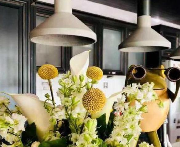 殷桃晒出自己的豪宅，室内户外都种满植物，就像住在花园里一样