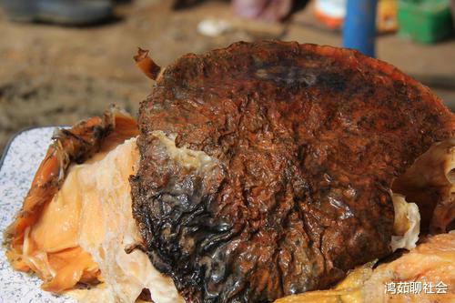 [科学家]世间难寻的“太岁”到底是什么？科学家：跳出三界之外，违背生命规律！