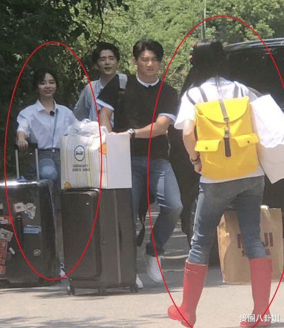 马伊琍■郑爽和谭松韵一起录节目，路透照中的身高差引发争议，太不诚实了