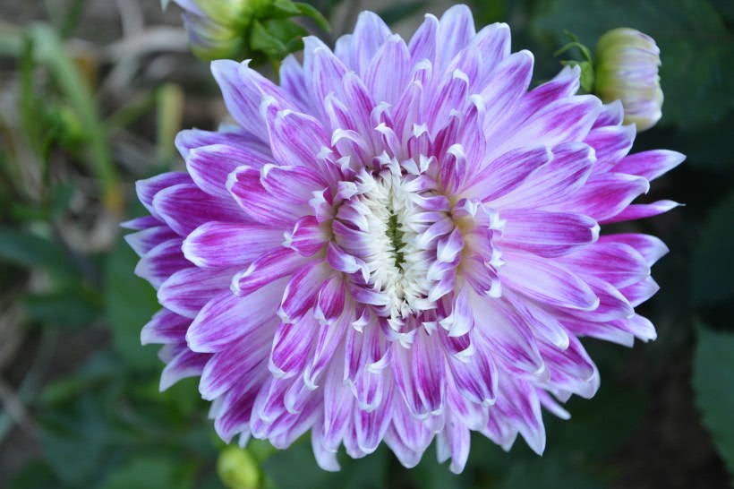 【运势】未来五个月好运连连,喜事登门,福多财盛,四属相可以轻松赚大钱