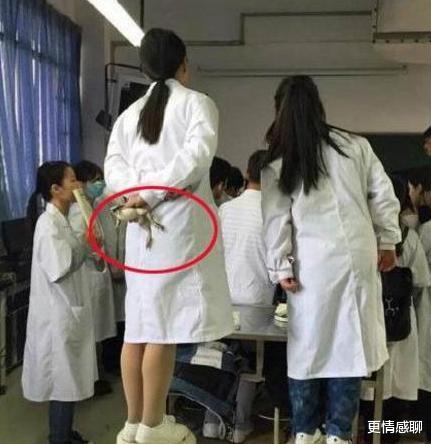 跳蚤市场|大学的跳蚤市场真的好,可以买到学长的电脑,学姐的床褥