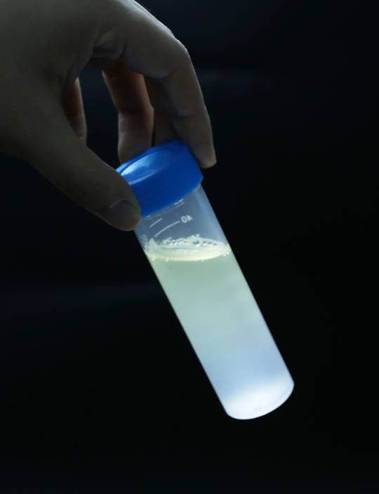 |我国研发全球首款蚕丝硬碟，可储存DNA及植入人体，强大功能一次看