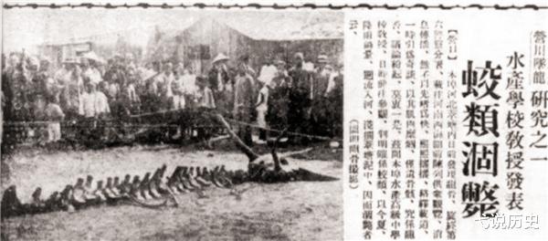 营口|1934年“营口坠龙”事件是真是假?老人上交龙骨揭开真相