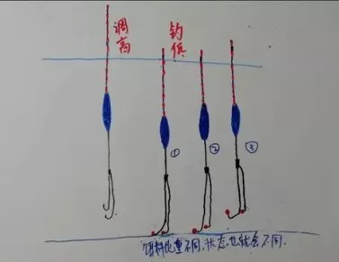 「南淝河」详解调高钓低之饵重的重要性，看懂这些，一定鱼获满满！