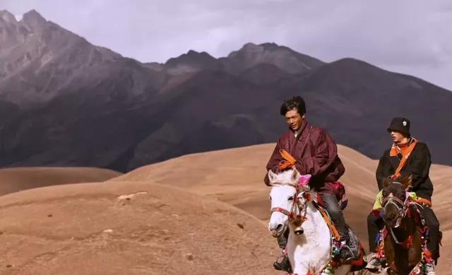 大龟 刚红60多天，丁真就凉了？央媒严厉批评：一看就是老烟民