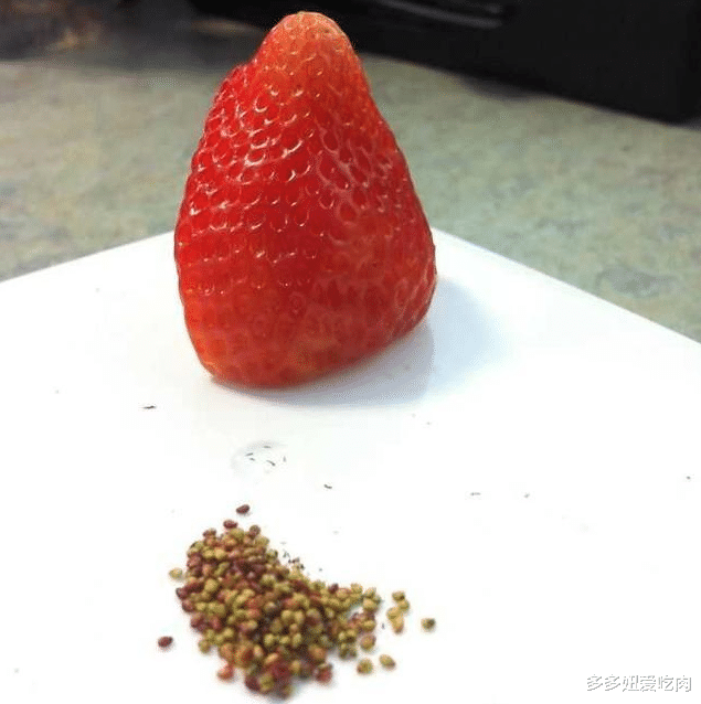 『草莓』肥宅是咋打发时间的？草莓去籽弱爆了，看到大葱，网友：是个人才