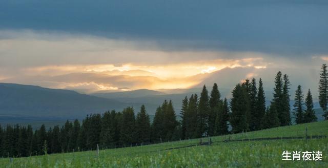 生肖|11月，浓情蜜意，摆脱单身，前任回头，3生肖再次收获圆满幸福的爱情