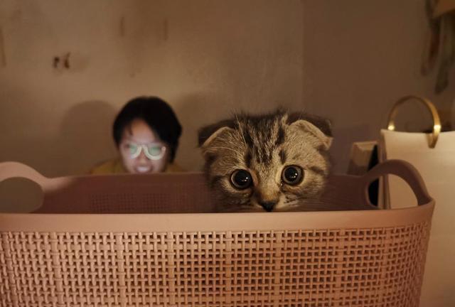 没有客厅只有床：当代年轻人过的是什么日子？