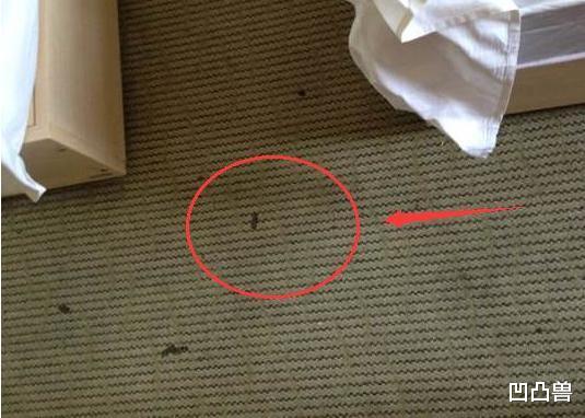 洗碗机|搬入新家五天五夜彻夜难眠！这12处错装一塌糊涂！辛苦钱全白砸