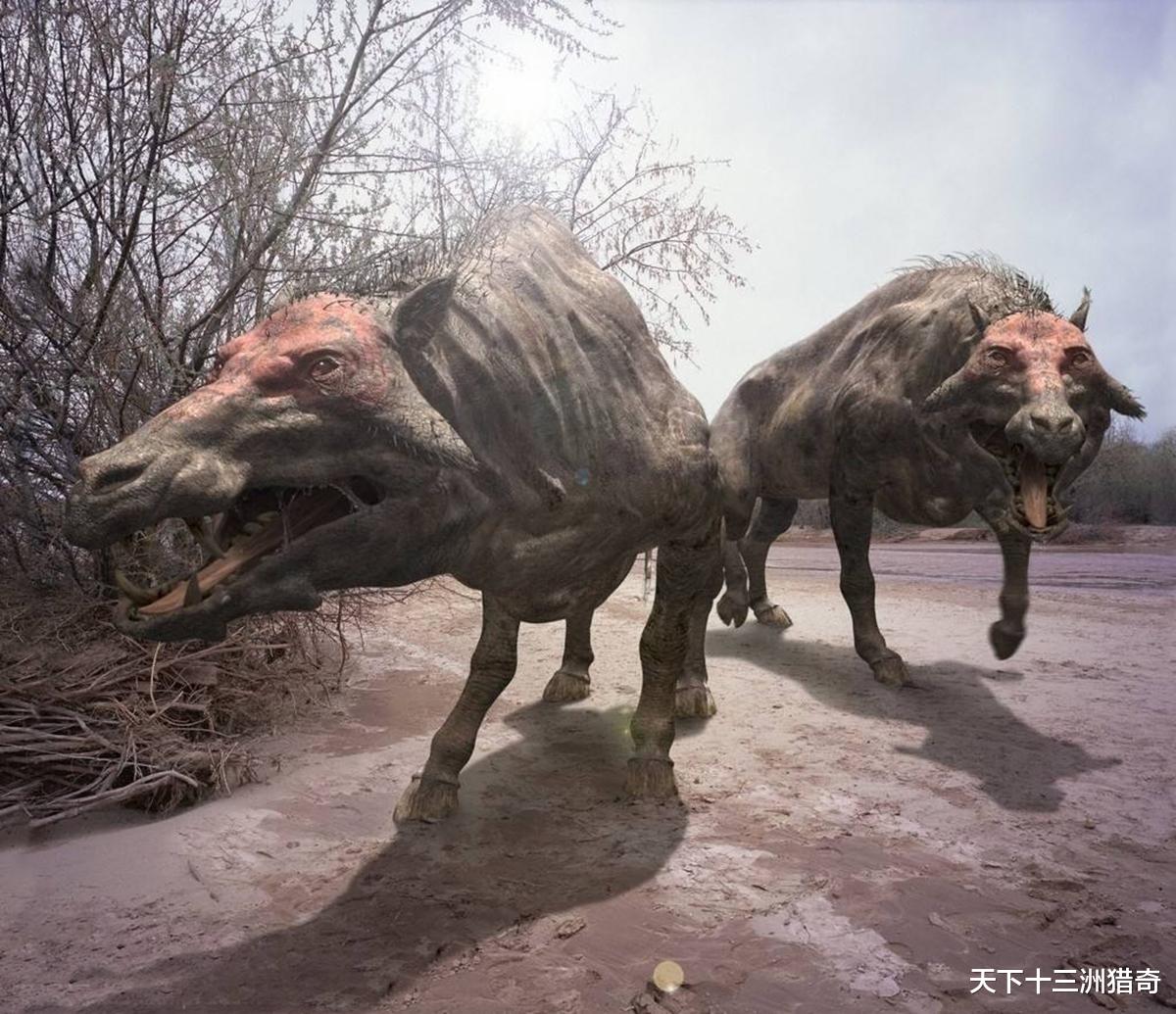 科学家|2500万年前堪称完美的生物，冥界之猪，脸上覆盖骨甲，没任何天敌