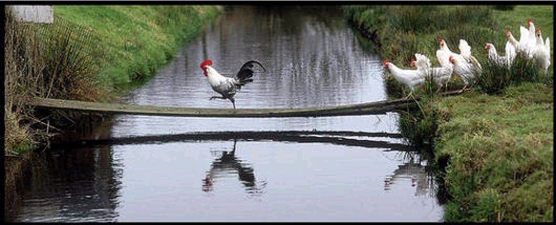 「」难怪管不好员工，原来是领导力太差！领导与管理区别竟然这么大
