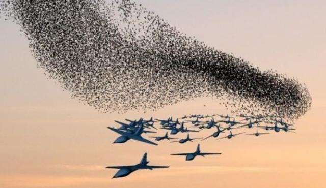 |中国向世界亮杀手锏，“蜂群作战”威力大震，美国承认自己做不到