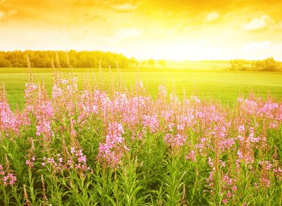 生肖@恭喜3生肖!2020年财帛大赚,福气享不尽,顺利发家致富