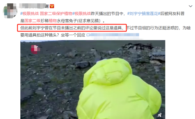 兔子|刘宇宁摘水母雪兔子惹争议，本人称是道具，植物学家揭开真相