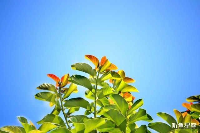 【运势】农历几月出生的女性,天赐良缘,婚后儿女双全,富贵终生